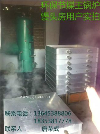 节煤王豆腐锅炉（广元达州泸州南